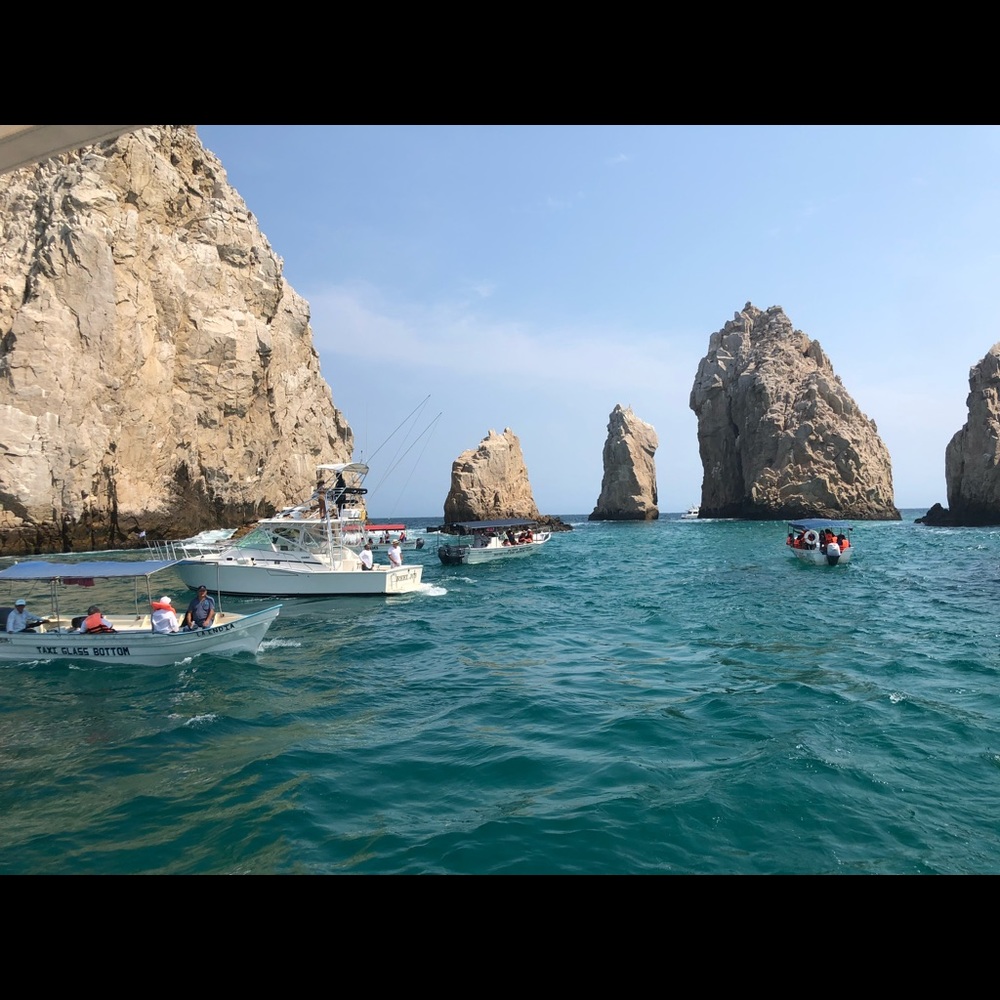 Meet your Posher, Mel